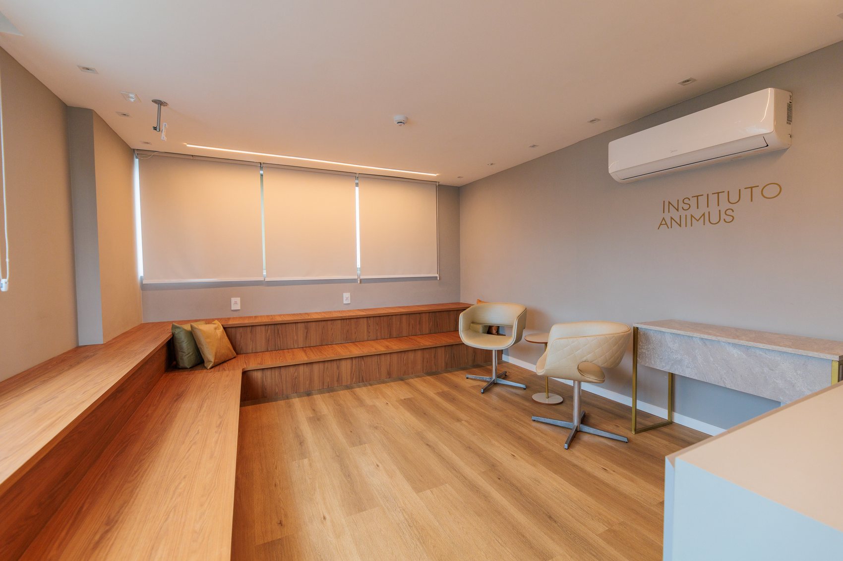 Auditório do Instituto Animus